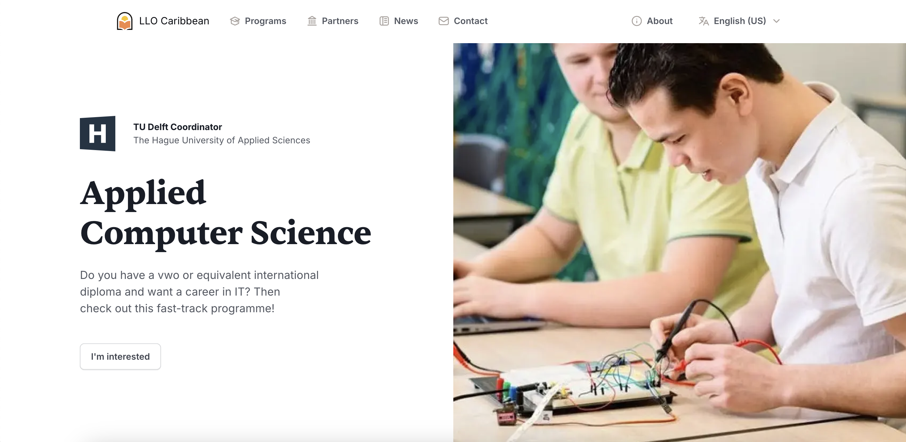 LLO Caribbean - Image 4